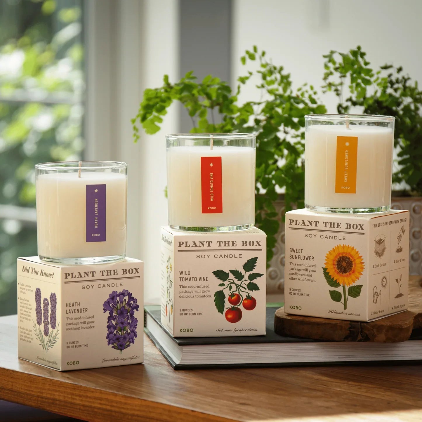 Plant The Box