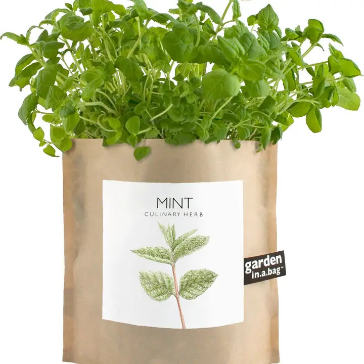 Garden in A Bag | Mint | Great Gift For Cooks
