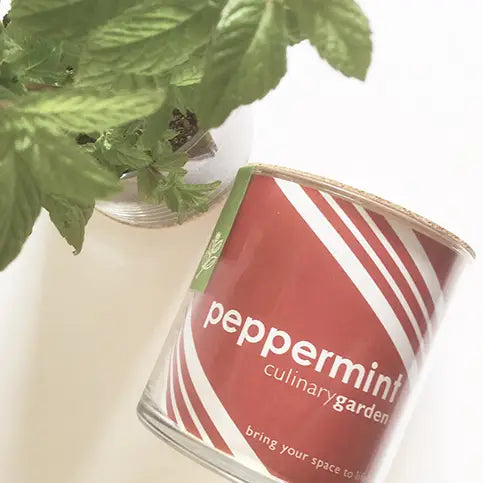 Essential | Peppermint Garden | Tea Lover Gift Idea