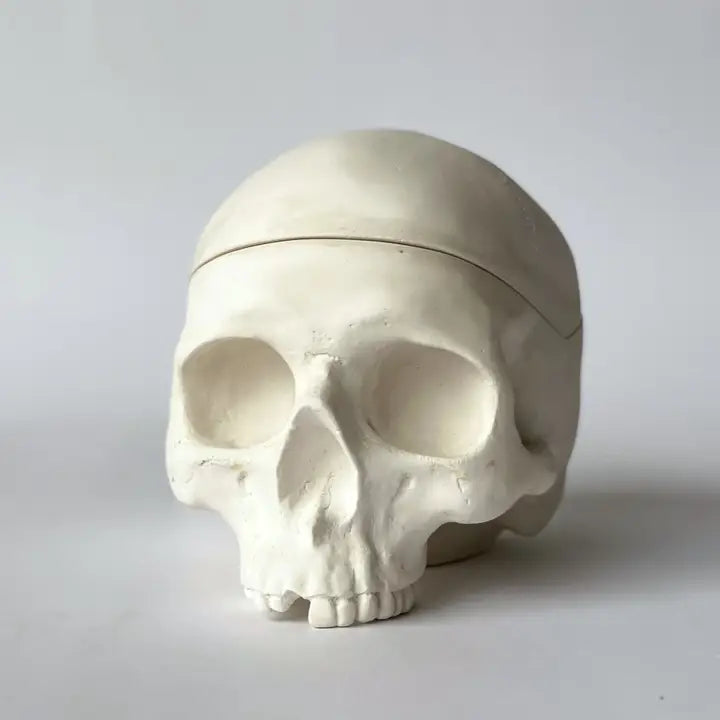 Memento Mori Plaster Skull