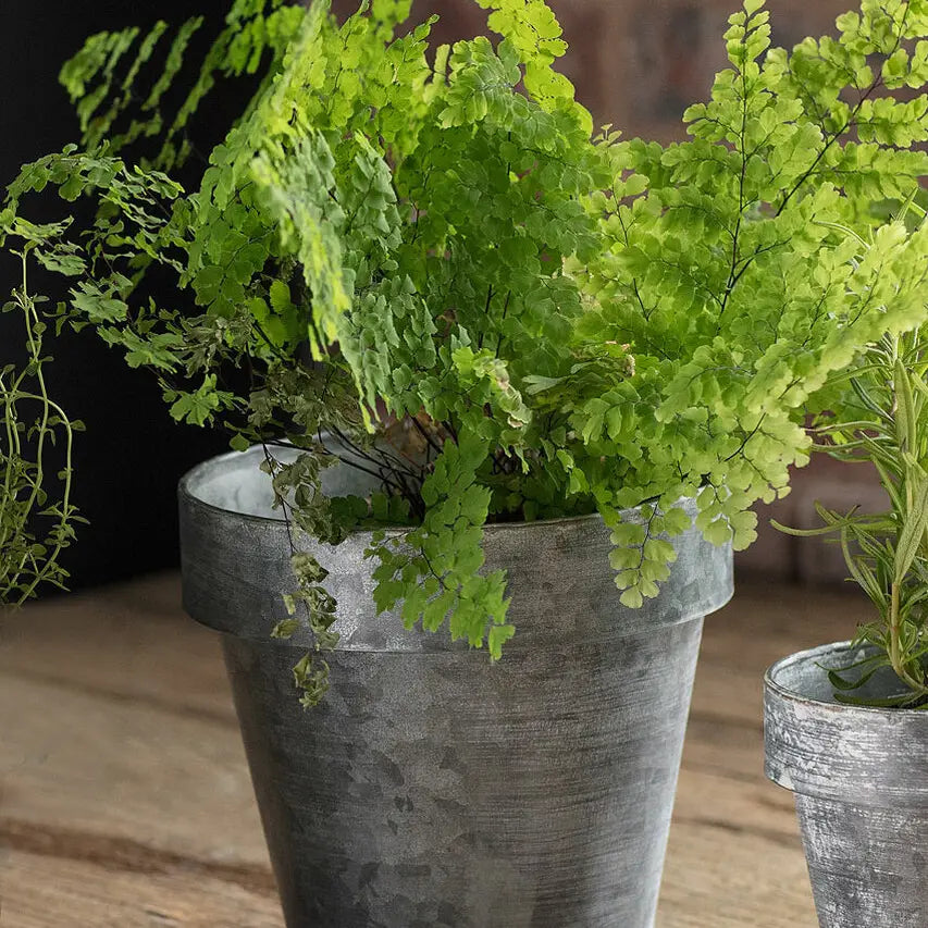 Zinc Flower Pot
