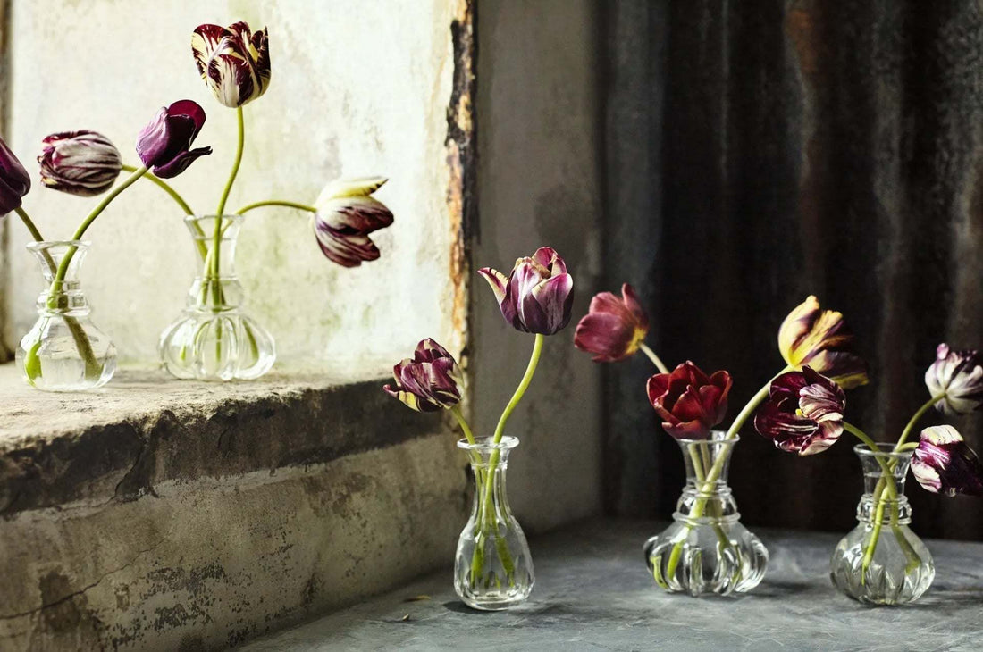 Tulip Mania: The Bloom and Bust of 1630s Netherlands