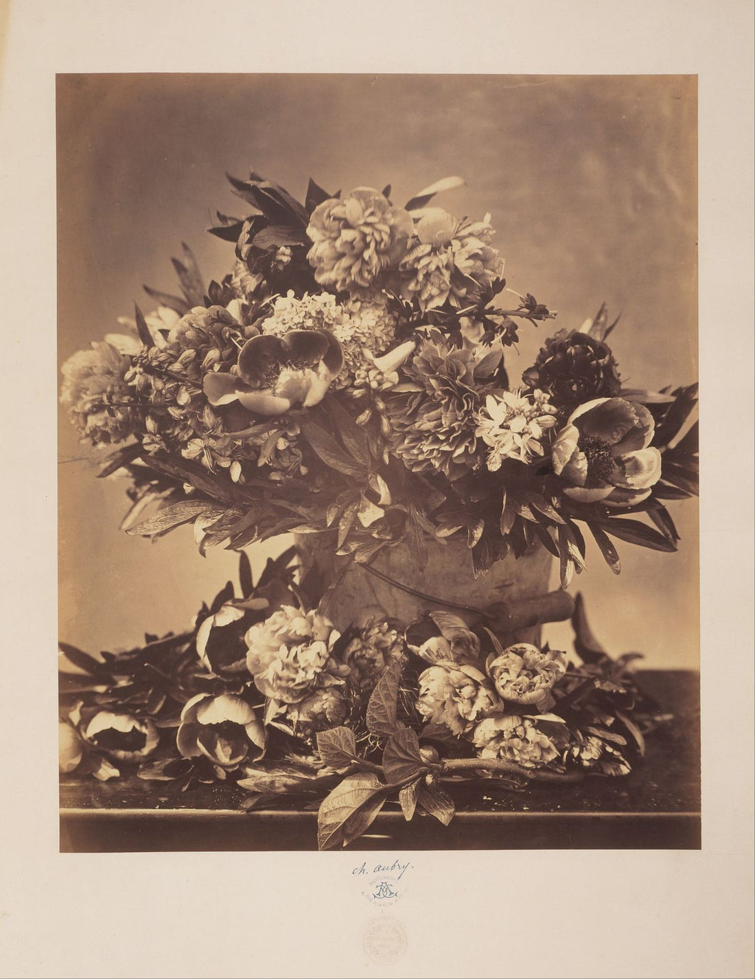 Charles Aubry: The Botanical 19th century still life