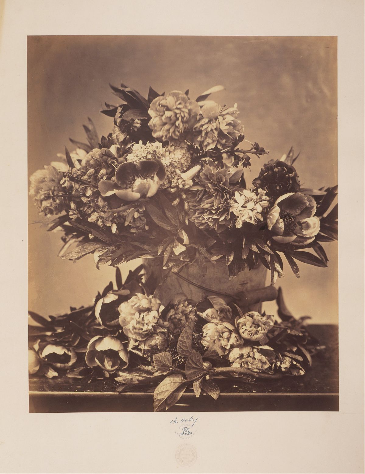 Charles Aubry: The Botanical 19th century still life