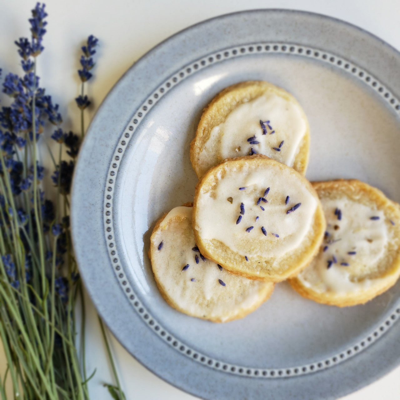 Garden in A Bag | Lavender