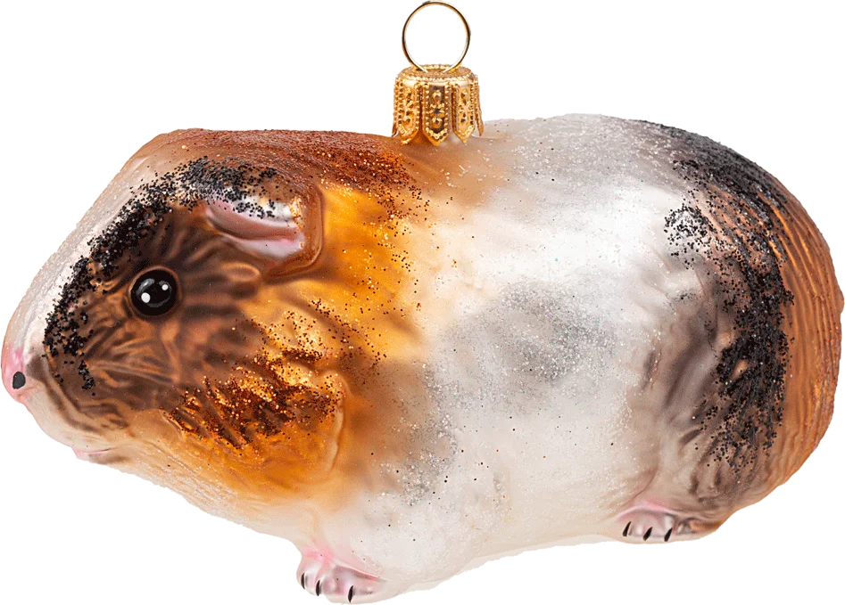 Guinea Pig
