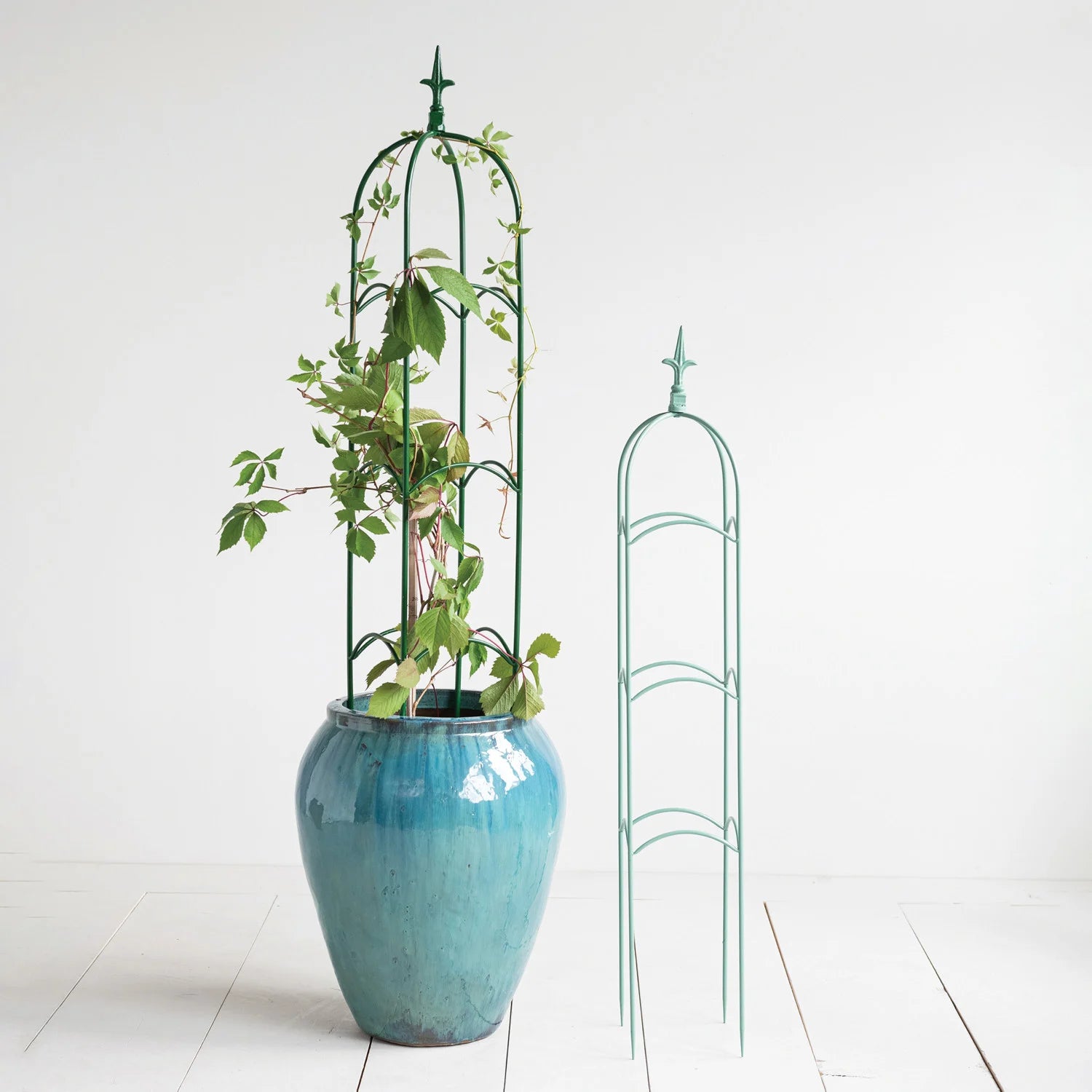 Powder Coated Metal Trellis with Finials, Set of 2