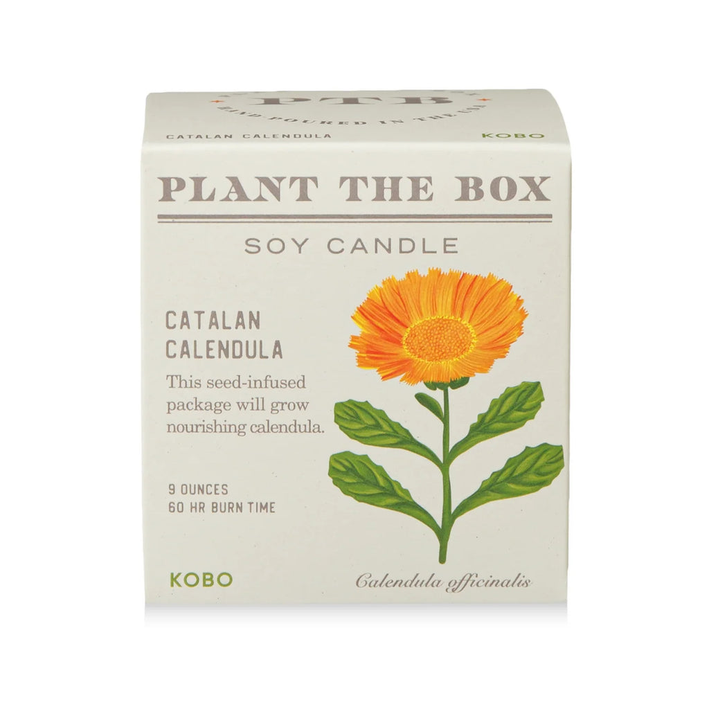 Catalan Calendula  Plant The Box Candle