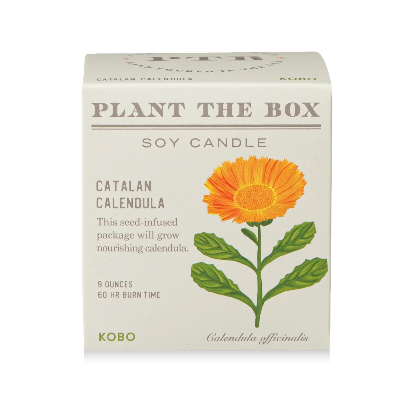 Catalan Calendula  Plant The Box Candle