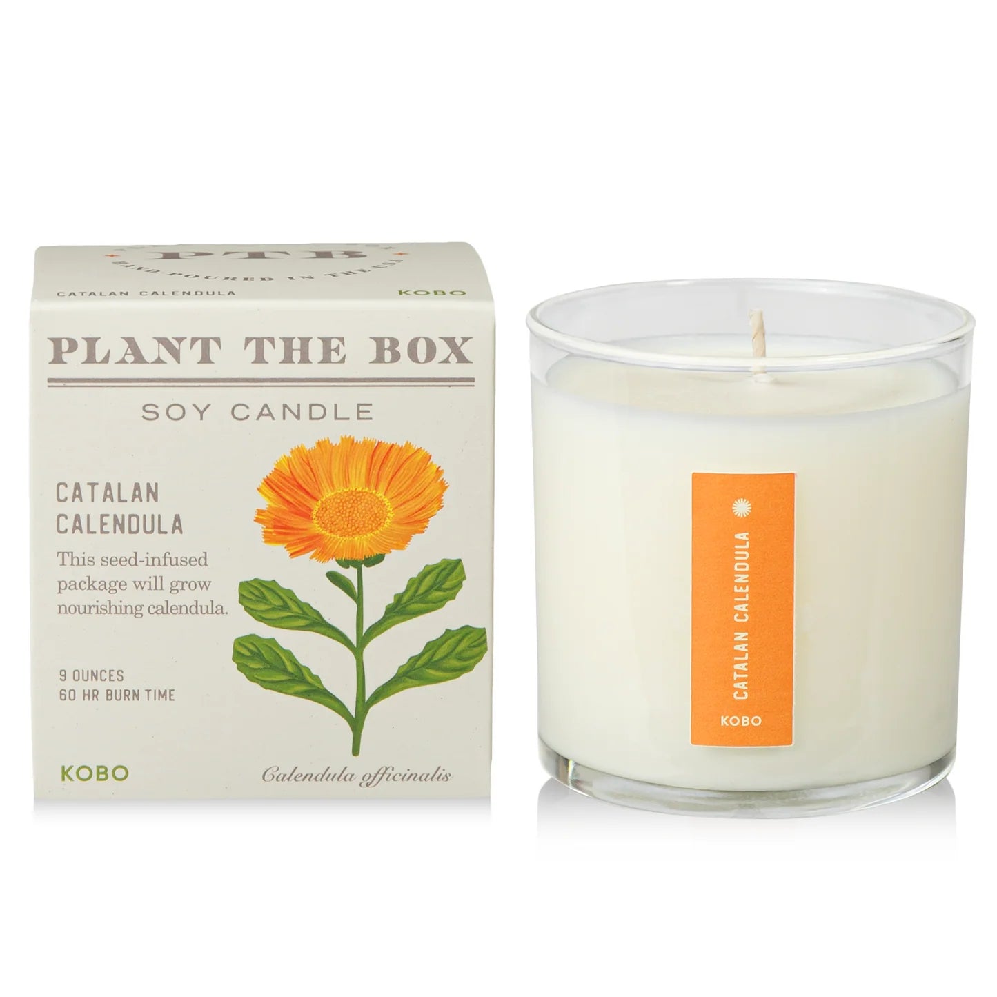 Catalan Calendula  Plant The Box Candle