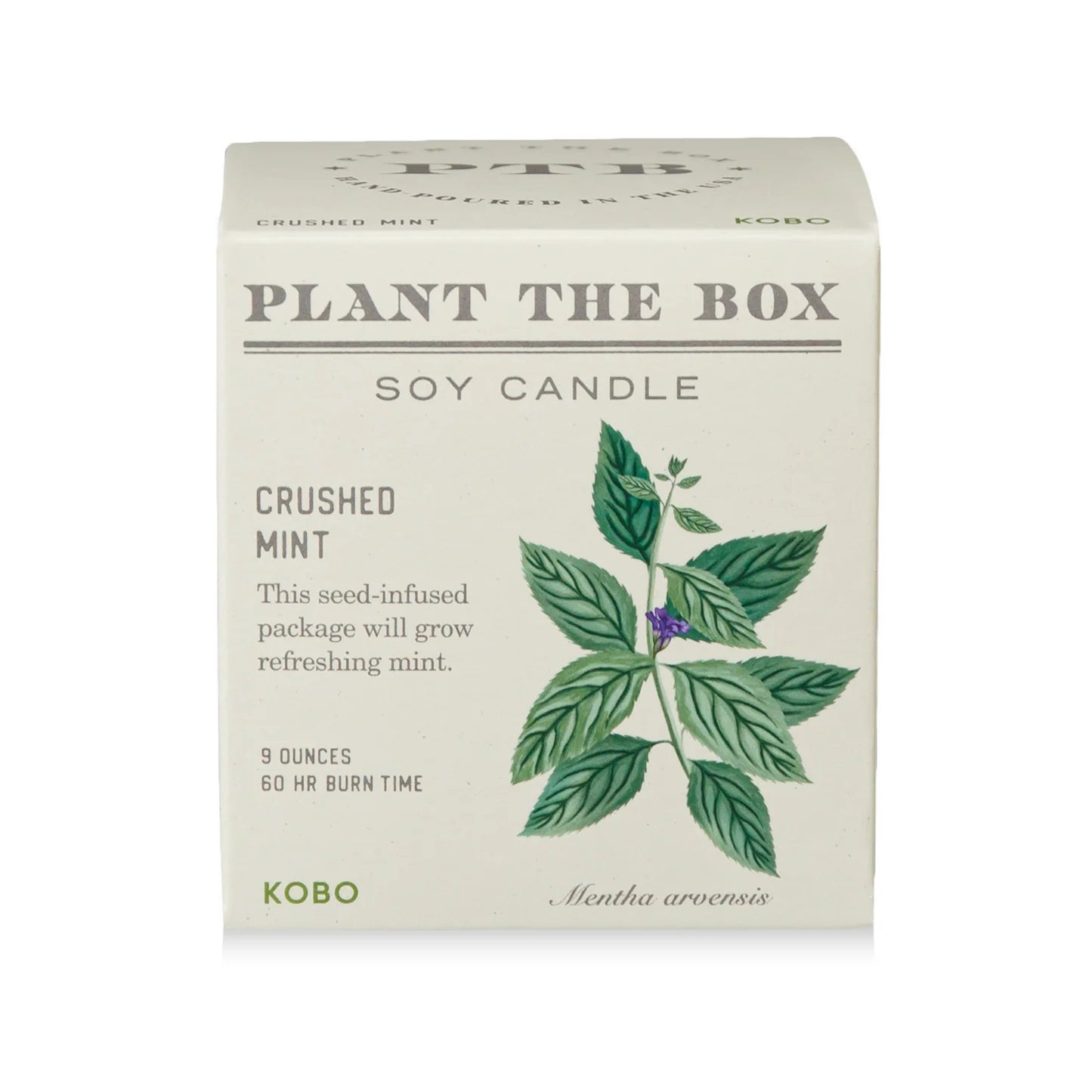 Crushed Mint Plant The Box Candle