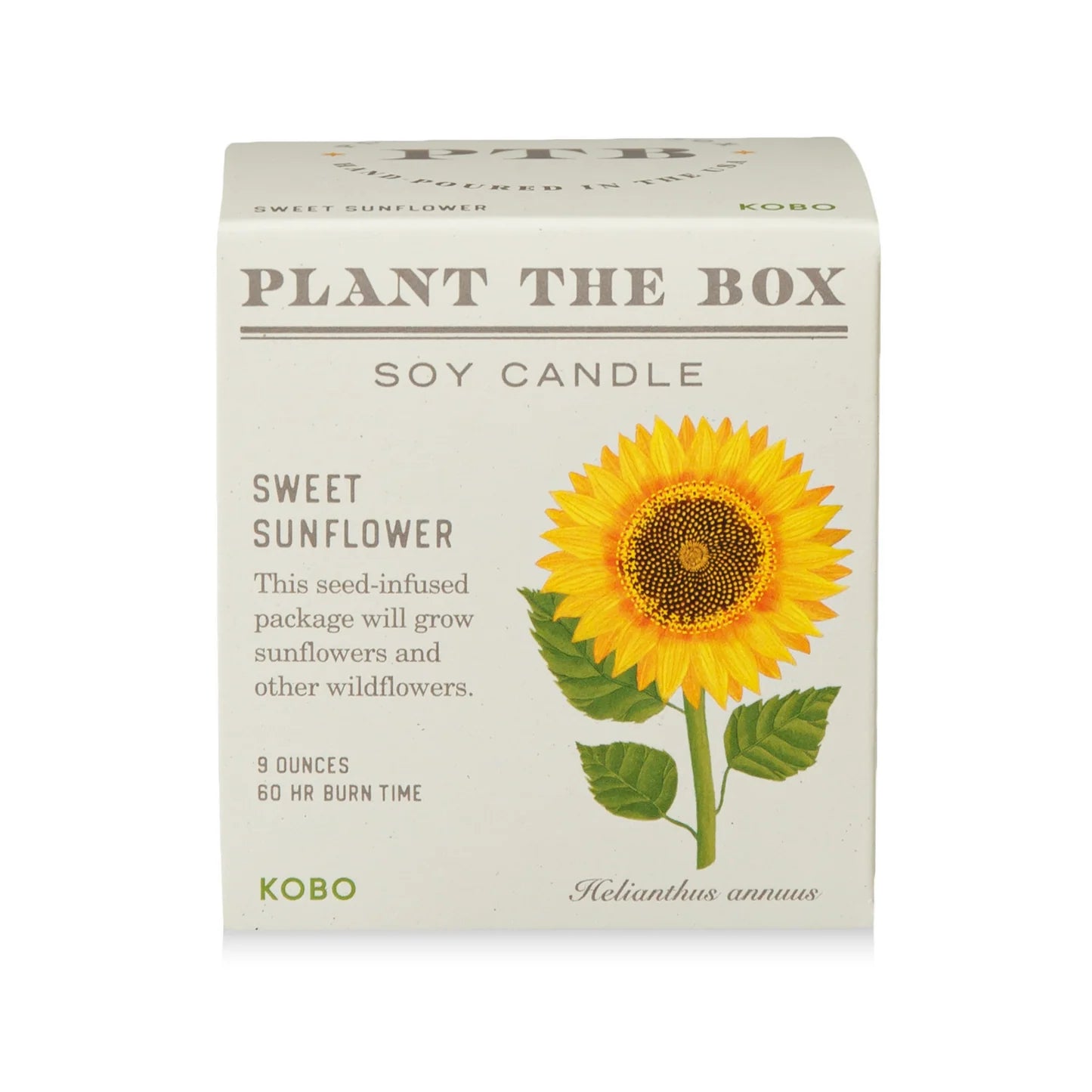 Sweet Sunflower Plant The Box Candle