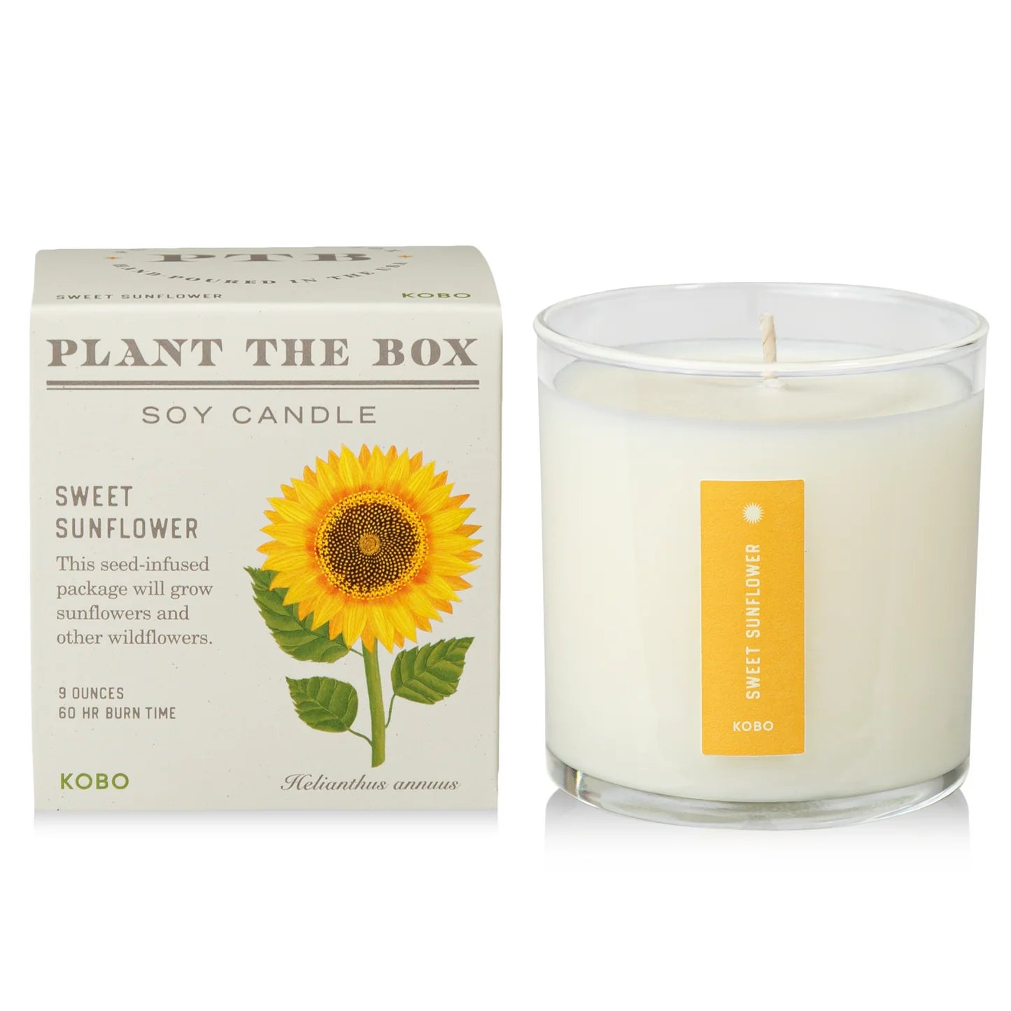 Sweet Sunflower Plant The Box Candle