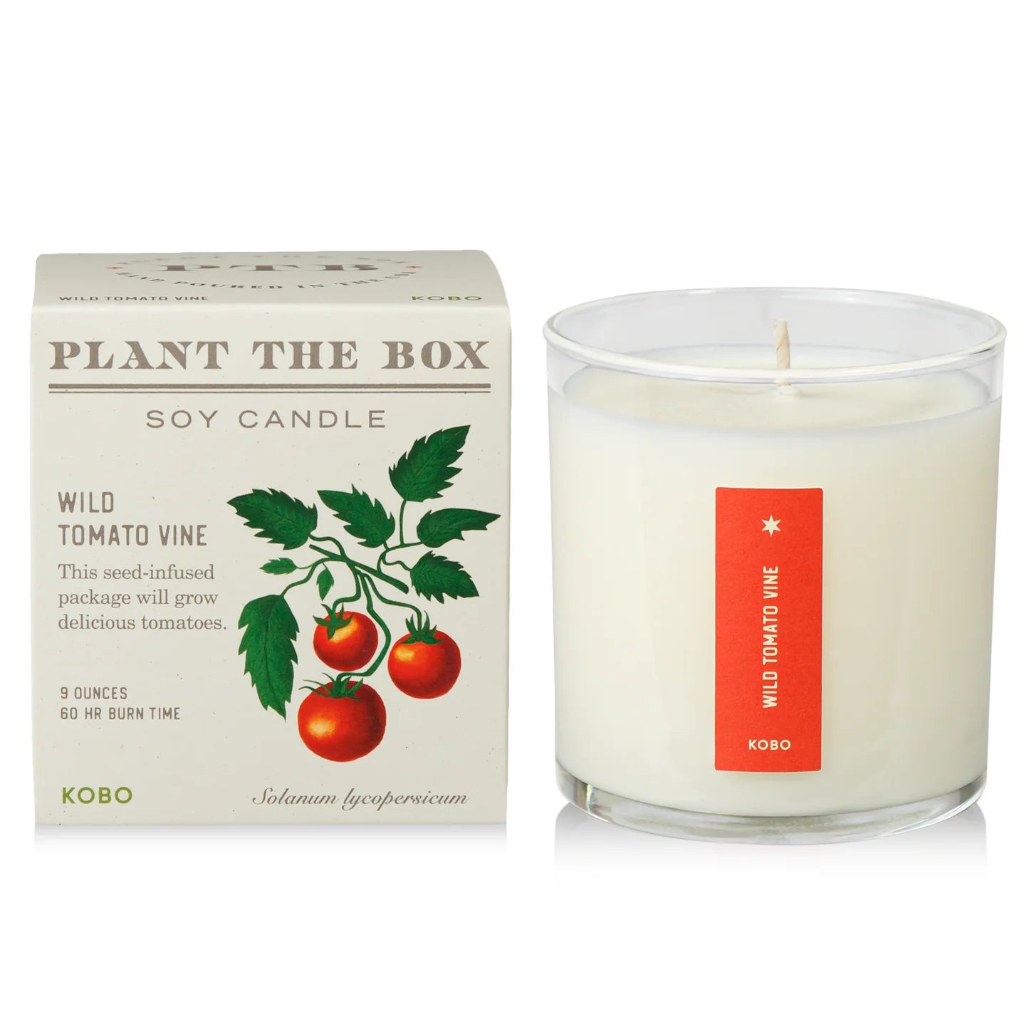 Wild Tomato Vine Plant The Box Candle