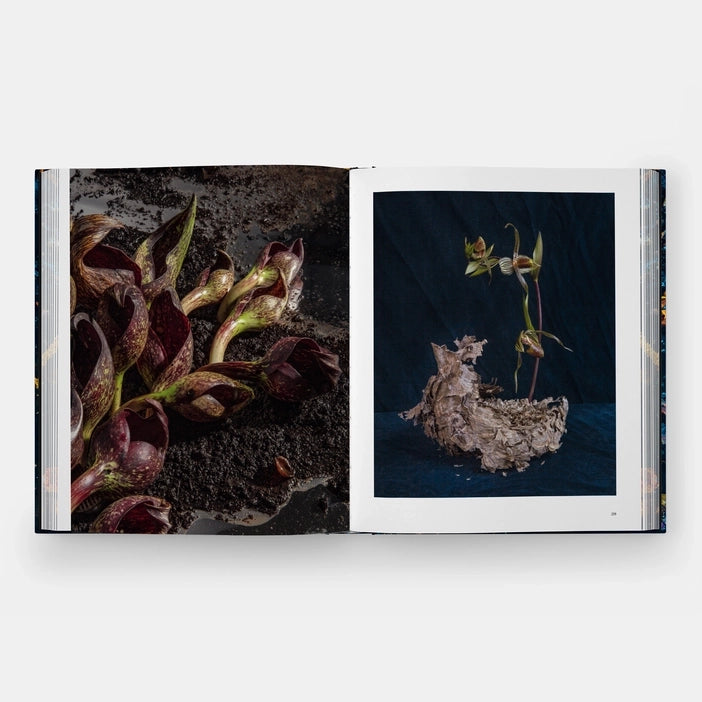 Emily Thompson Flowers