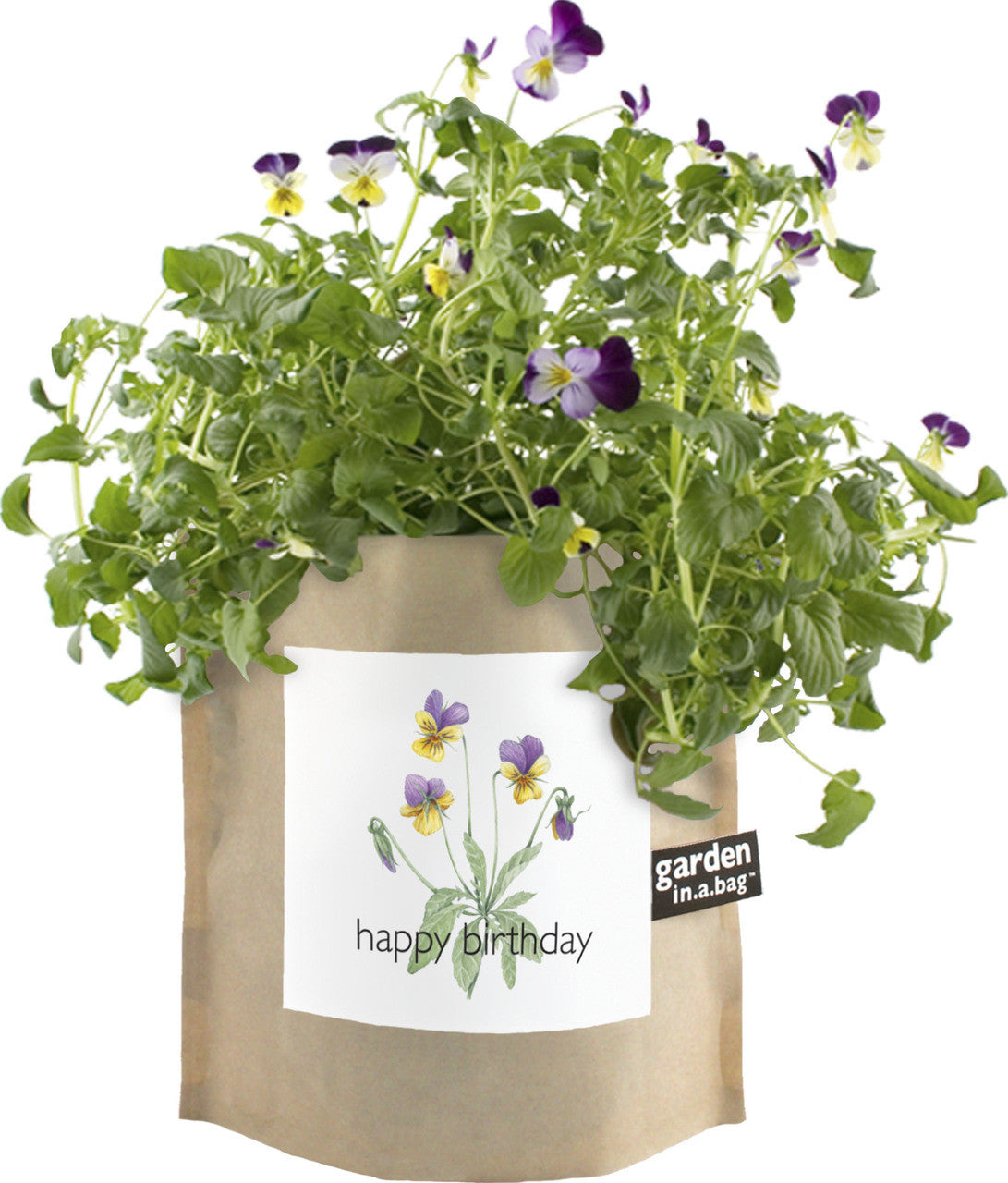 Happy Birthday garden in a Bag