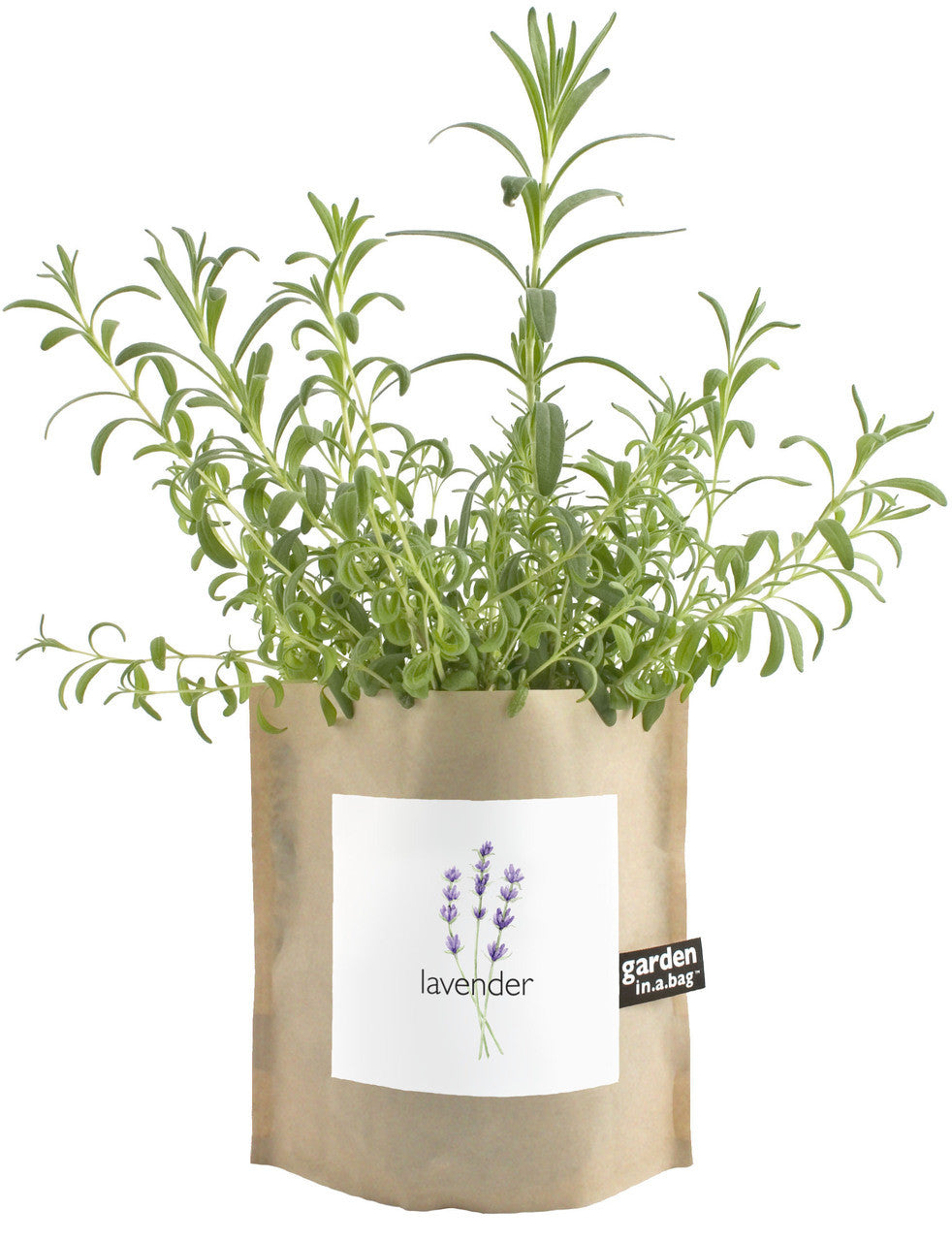 Garden in A Bag | Lavender