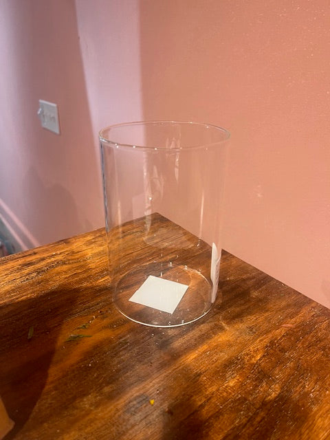 6: Clear Cylinder flower vase 3.5 diameter