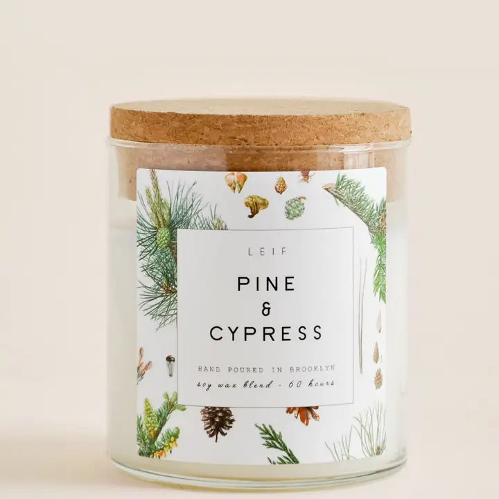 Botanist Candle | Pine & Cypress