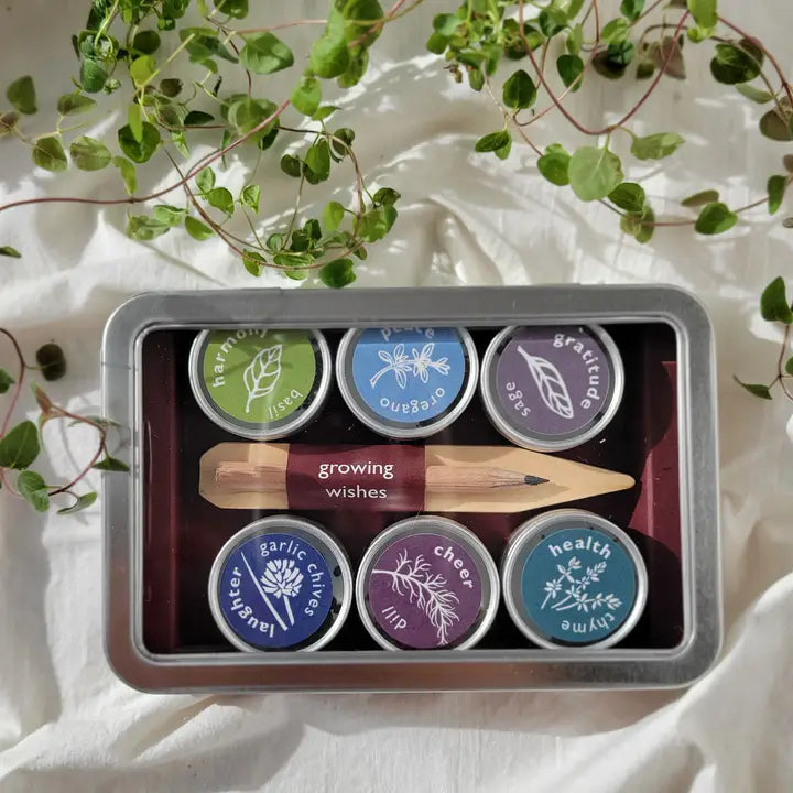 Growing Wishes Herb | Cheer | Herb Sentiments