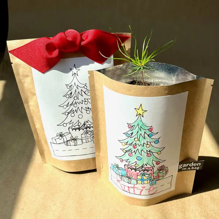 Kids Garden in A Bag | Christmas Tree | Learning Activity