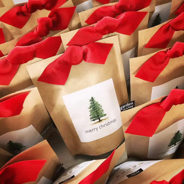 Garden in A Bag | Christmas Tree | Best Seller