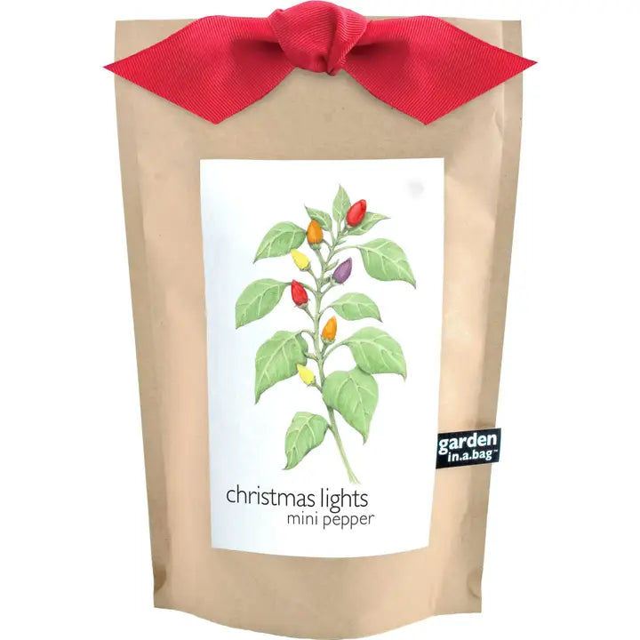Garden in A Bag | Christmas Lights Peppers