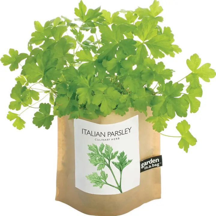 Garden in A Bag | Italian Parsley | Great Gift For Cooks