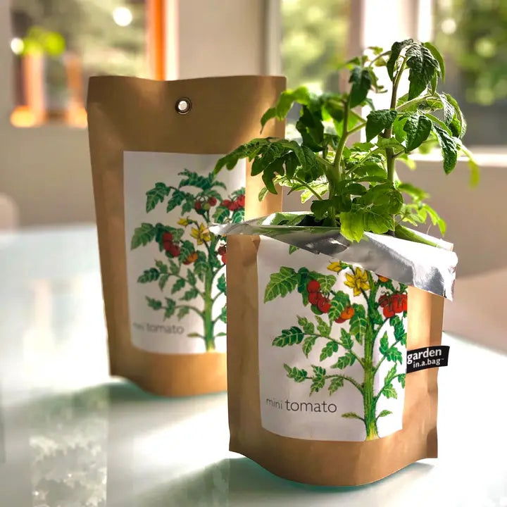 Garden in A Bag | Tomato | Great Gift For Cooks