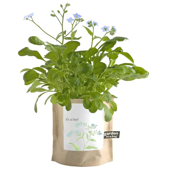 Garden in A Bag | It's A Boy | Baby Shower Idea