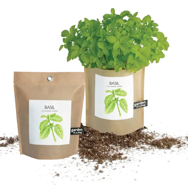 Garden in A Bag | Basil | Gift Idea For Cooks |