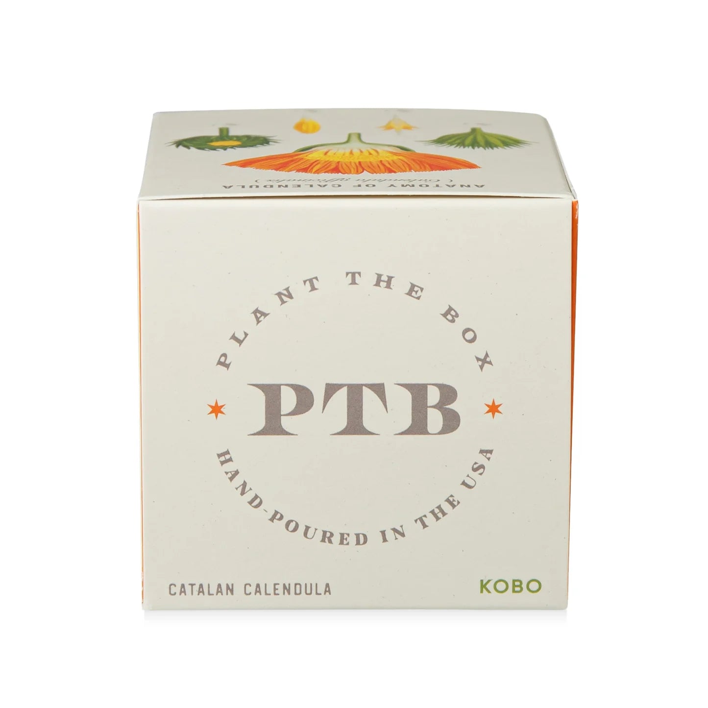 Catalan Calendula  Plant The Box Candle