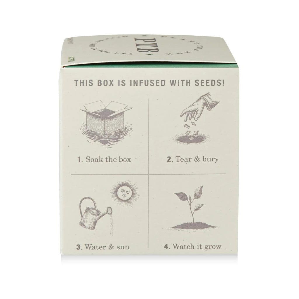 Crushed Mint Plant The Box Candle