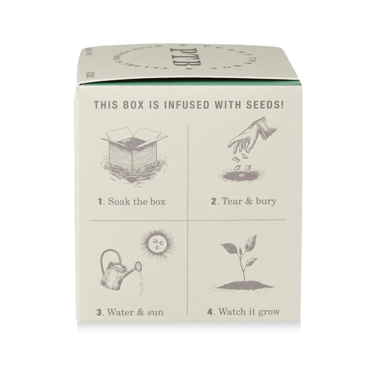Crushed Mint Plant The Box Candle