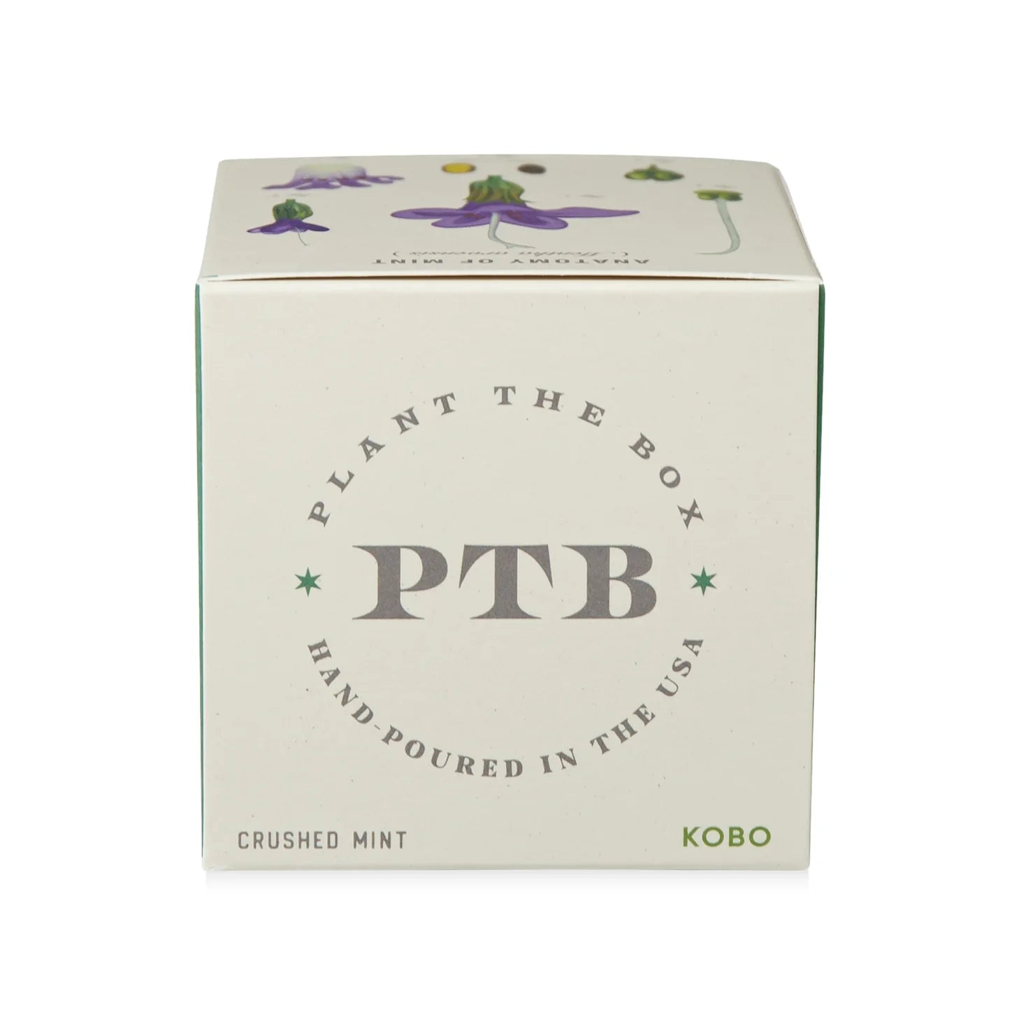 Crushed Mint Plant The Box Candle