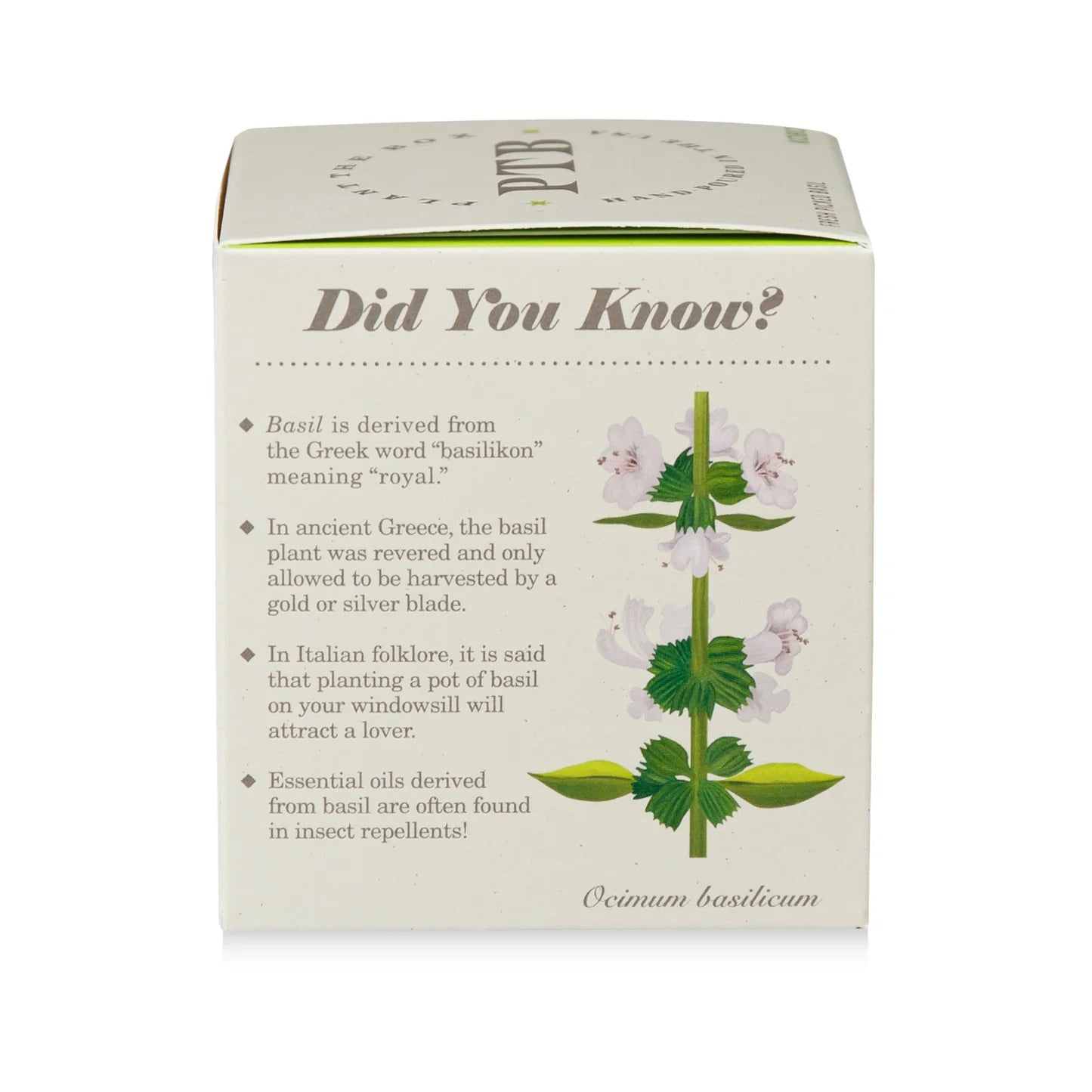 Fresh Picked Basil Plant The Box Candle