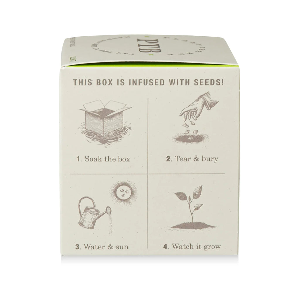Fresh Picked Basil Plant The Box Candle