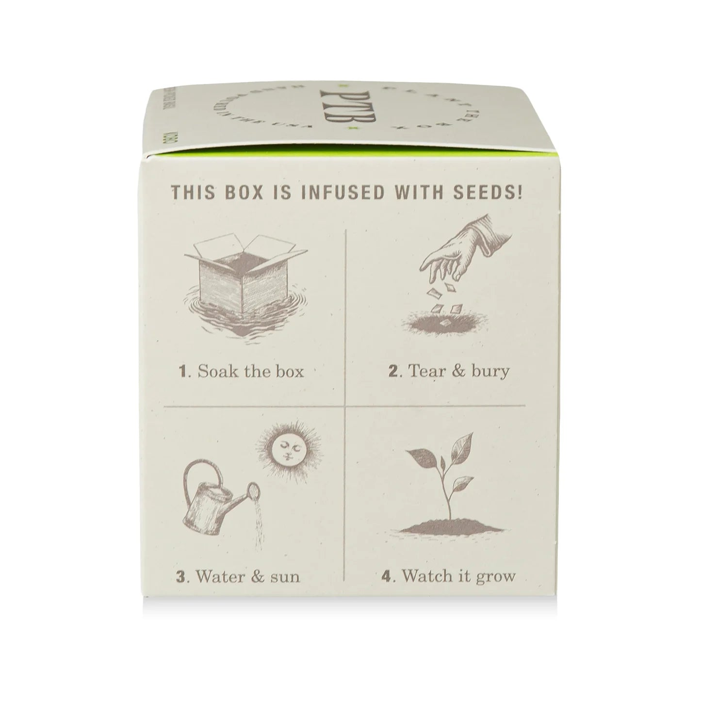 Fresh Picked Basil Plant The Box Candle