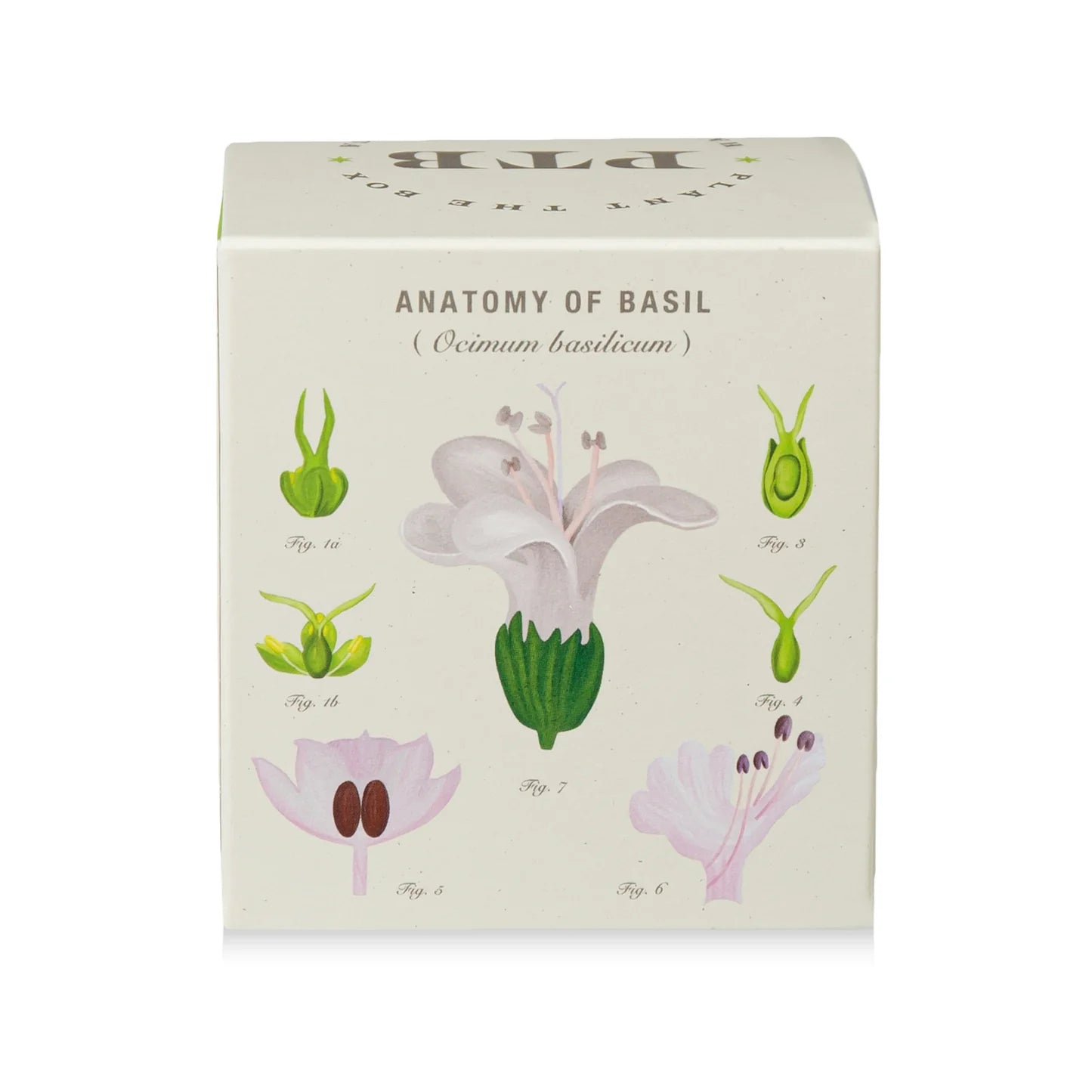 Fresh Picked Basil Plant The Box Candle