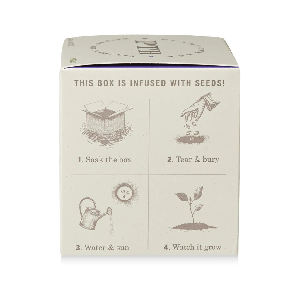 Heath Lavender Plant The Box Candle