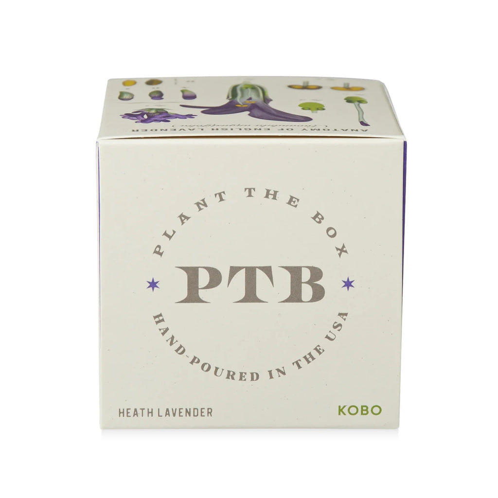 Heath Lavender Plant The Box Candle