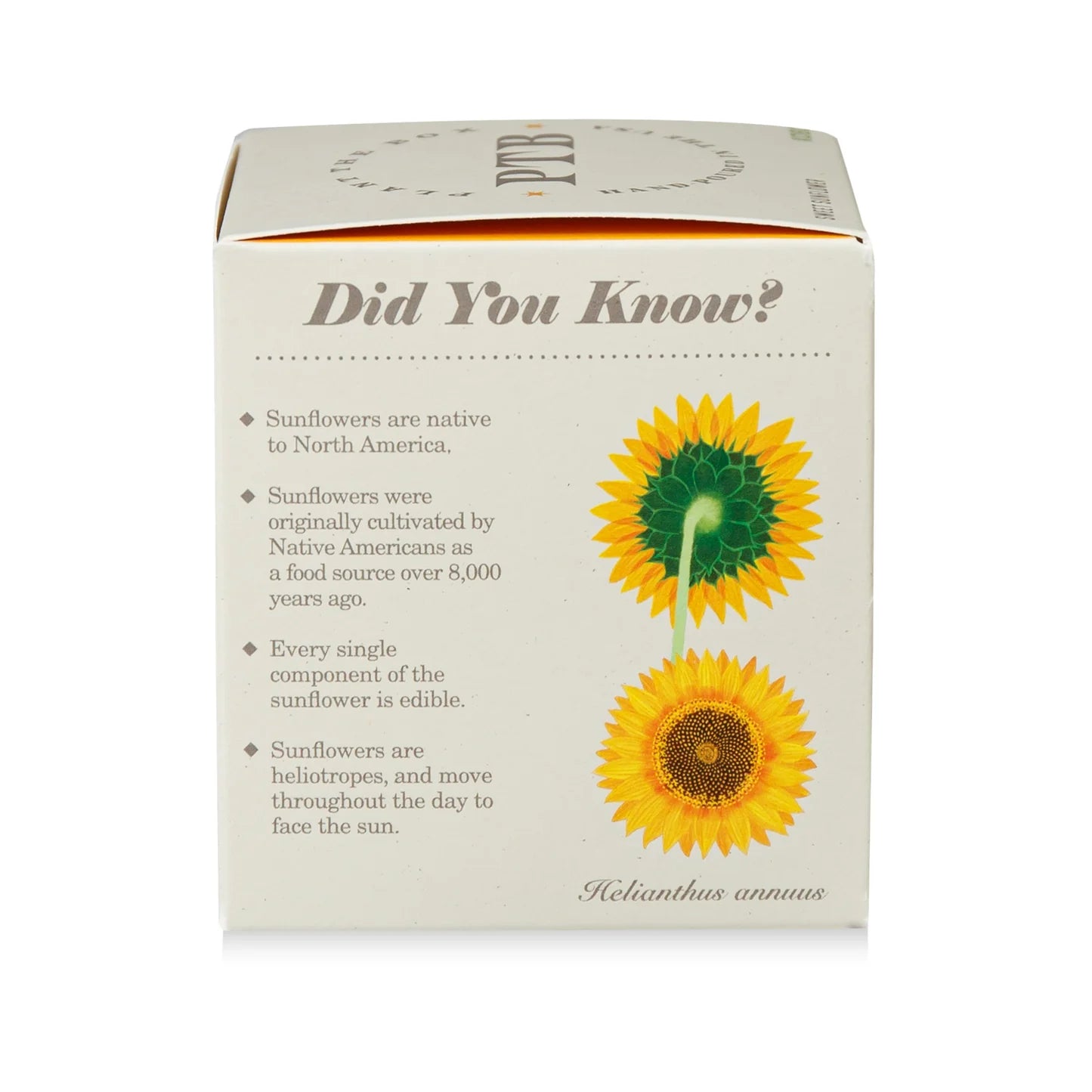 Sweet Sunflower Plant The Box Candle