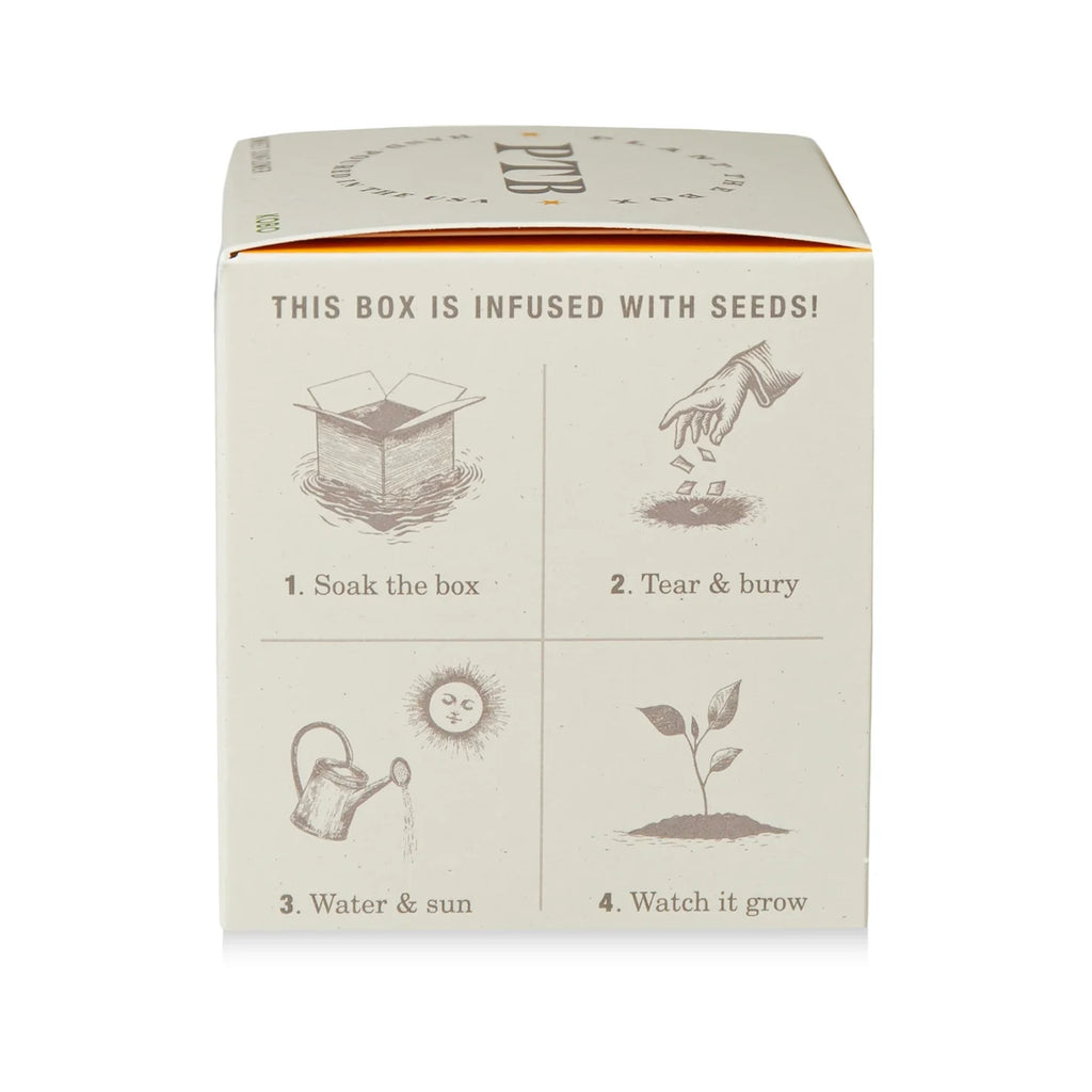 Sweet Sunflower Plant The Box Candle