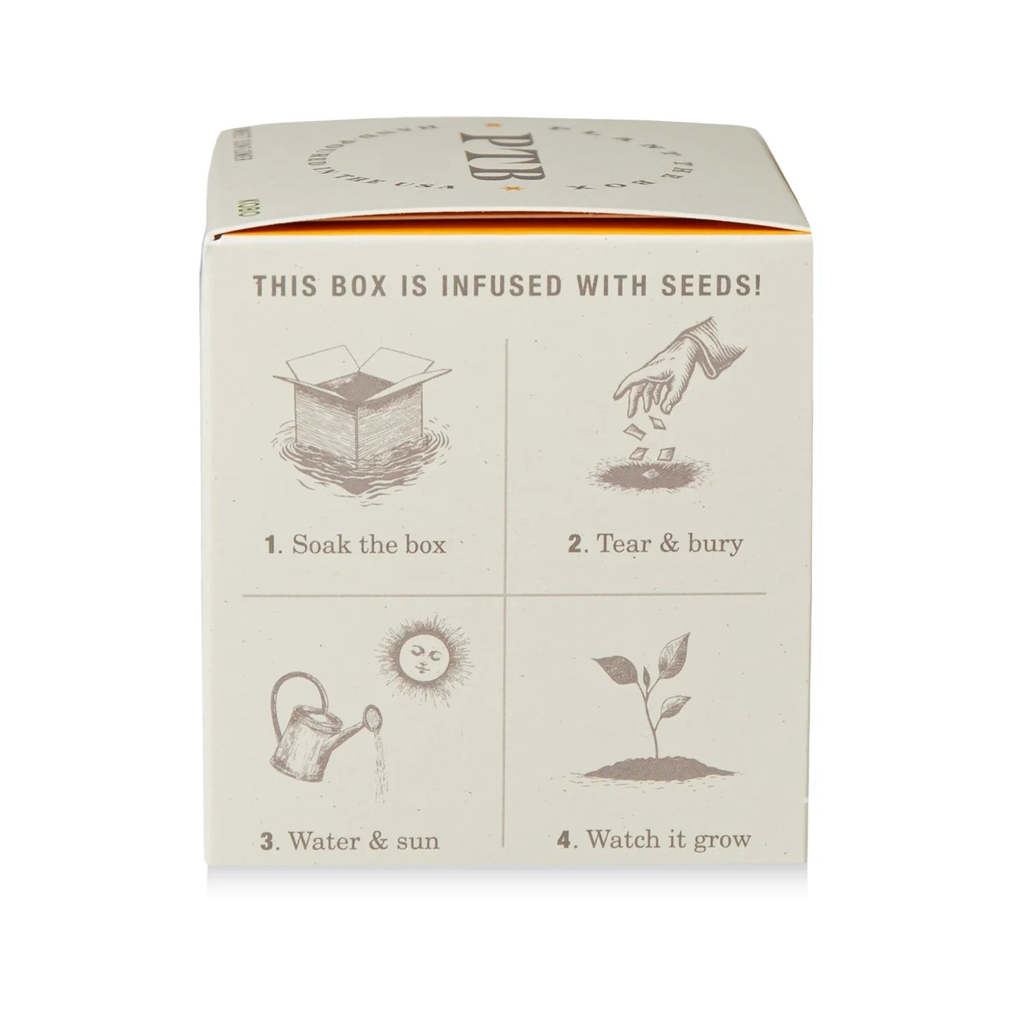 Sweet Sunflower Plant The Box Candle