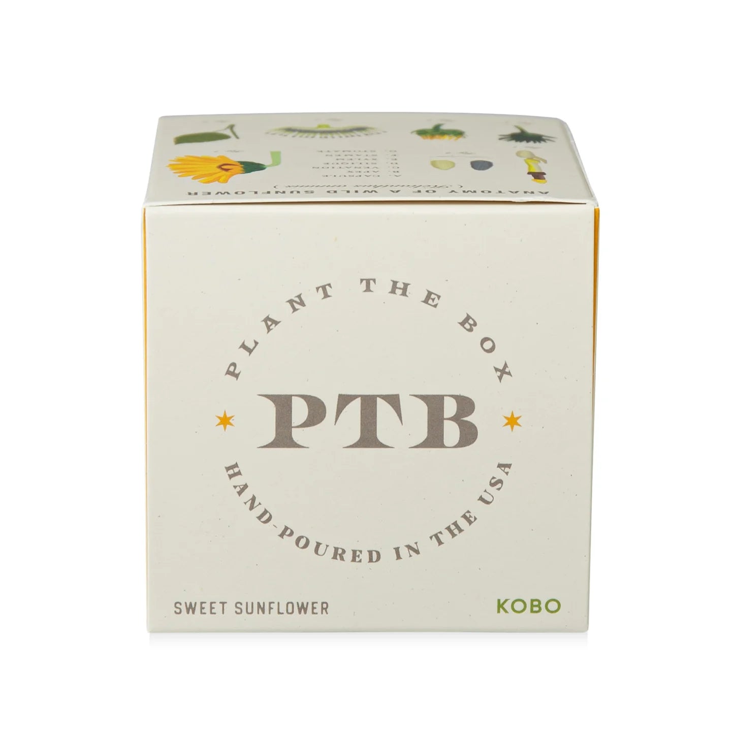 Sweet Sunflower Plant The Box Candle