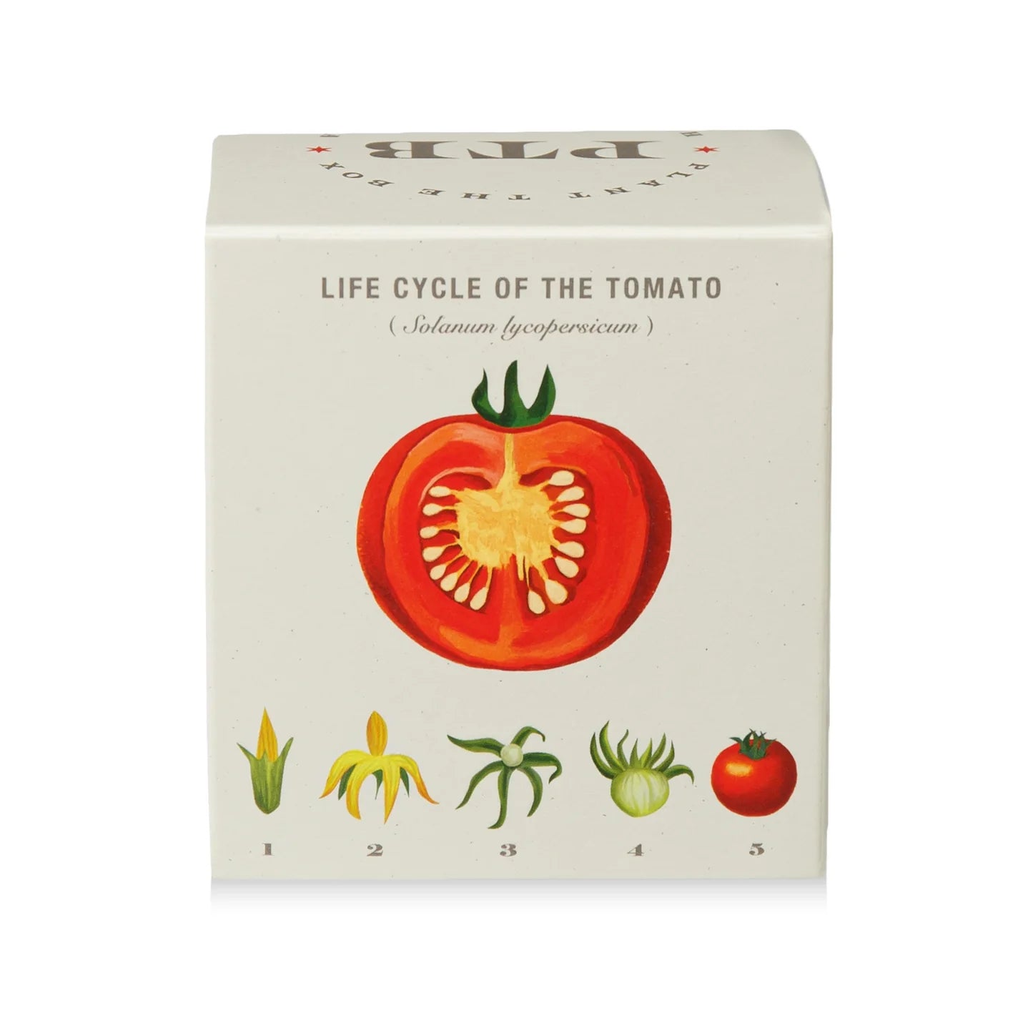 Wild Tomato Vine Plant The Box Candle
