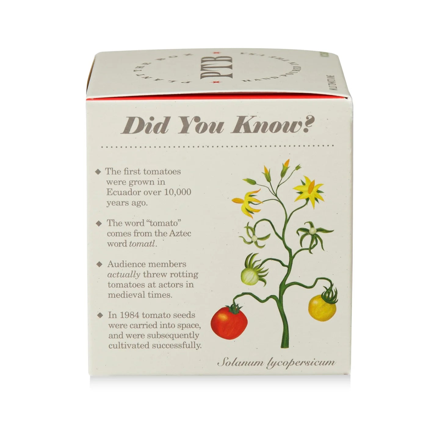 Wild Tomato Vine Plant The Box Candle