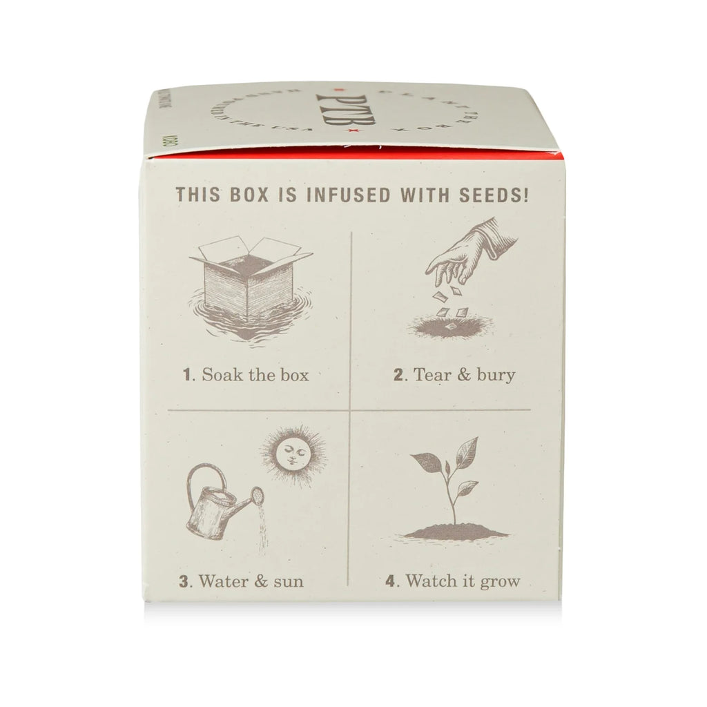 Wild Tomato Vine Plant The Box Candle