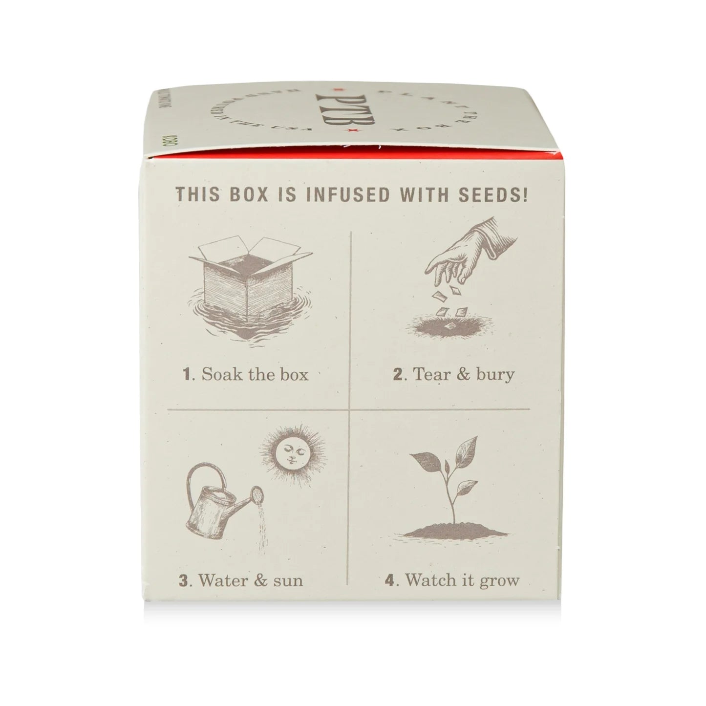 Wild Tomato Vine Plant The Box Candle