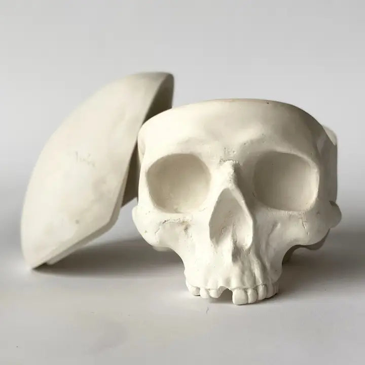 Memento Mori Plaster Skull